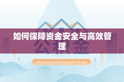 聂拉木如何保障资金安全与高效管理
