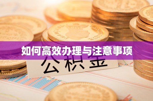 聂拉木如何高效办理与注意事项