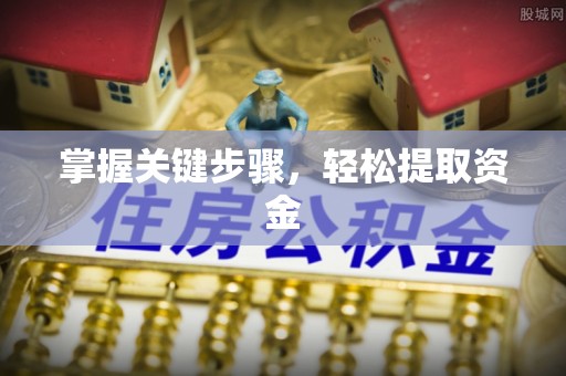 聂拉木掌握关键步骤，轻松提取资金