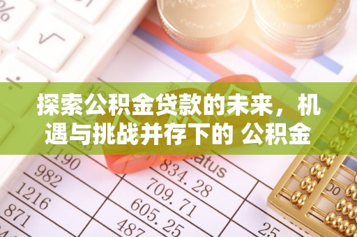 聂拉木探索公积金贷款的未来，机遇与挑战并存下的 公积金贷款风险防控