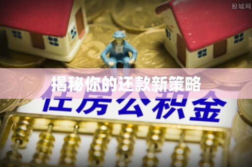 聂拉木揭秘你的还款新策略