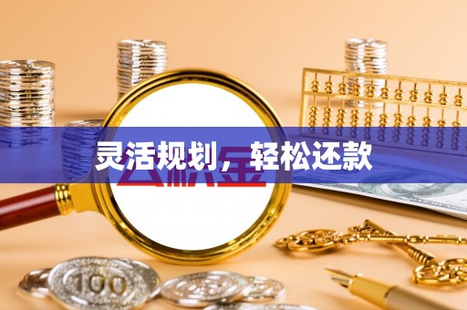 聂拉木灵活规划，轻松还款