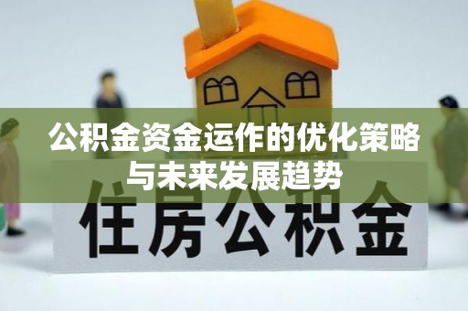 聂拉木公积金资金运作的优化策略与未来发展趋势