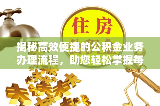 聂拉木揭秘高效便捷的公积金业务办理流程，助您轻松掌握每一步