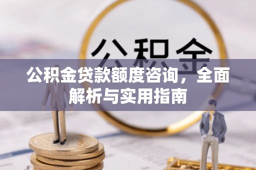 聂拉木公积金贷款额度咨询，全面解析与实用指南