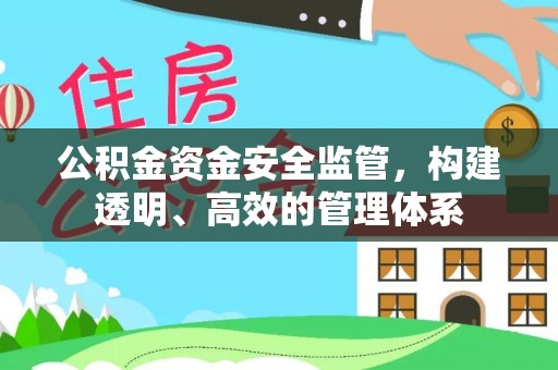聂拉木公积金资金安全监管，构建透明、高效的管理体系
