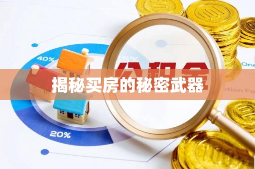 聂拉木揭秘买房的秘密武器