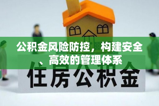 聂拉木公积金风险防控，构建安全、高效的管理体系