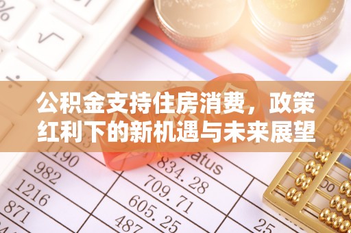 聂拉木公积金支持住房消费，政策红利下的新机遇与未来展望