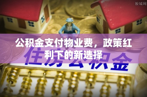 聂拉木公积金支付物业费，政策红利下的新选择