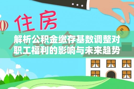聂拉木解析公积金缴存基数调整对职工福利的影响与未来趋势