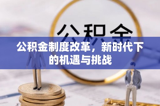 聂拉木公积金制度改革，新时代下的机遇与挑战