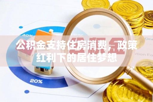 聂拉木公积金支持住房消费，政策红利下的居住梦想
