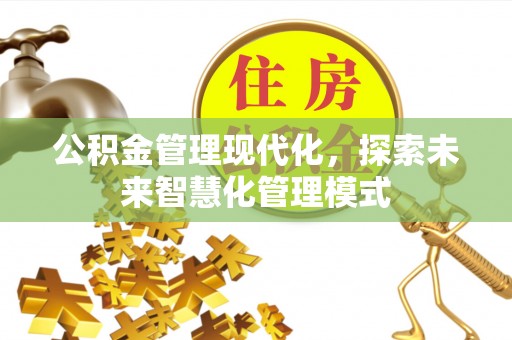聂拉木公积金管理现代化，探索未来智慧化管理模式