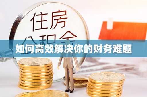 聂拉木如何高效解决你的财务难题