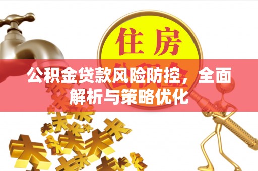 聂拉木公积金贷款风险防控，全面解析与策略优化