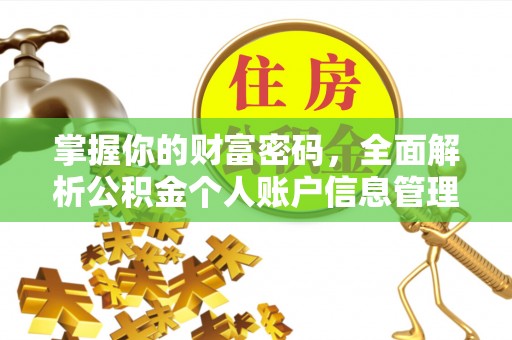 聂拉木掌握你的财富密码，全面解析公积金个人账户信息管理
