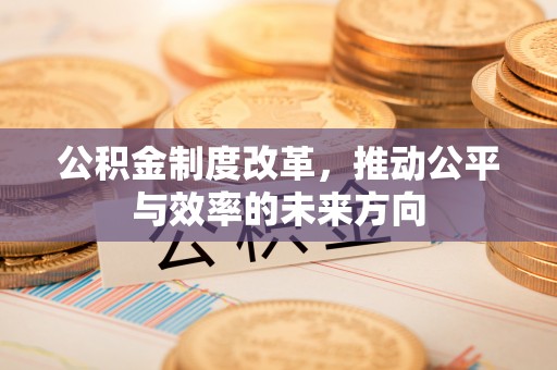 聂拉木公积金制度改革，推动公平与效率的未来方向