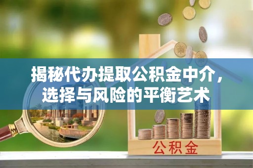 聂拉木揭秘代办提取公积金中介，选择与风险的平衡艺术