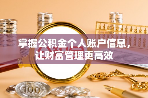 聂拉木掌握公积金个人账户信息，让财富管理更高效