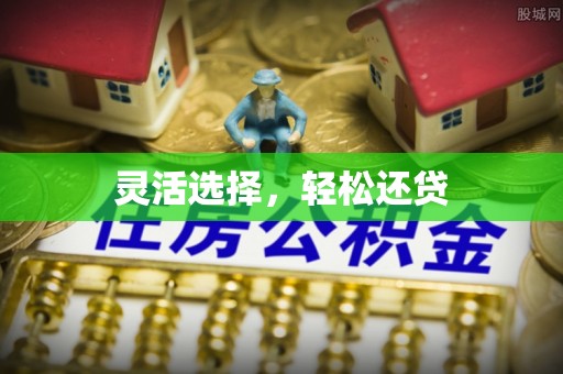 聂拉木灵活选择，轻松还贷