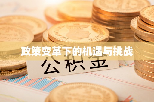 聂拉木政策变革下的机遇与挑战
