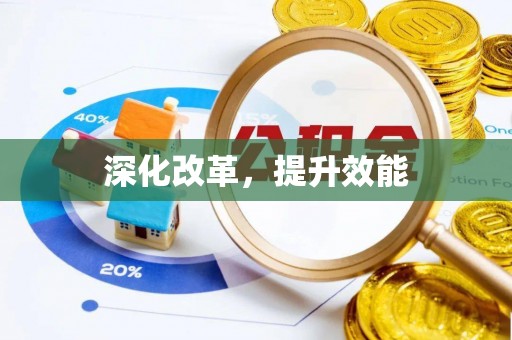 聂拉木深化改革，提升效能