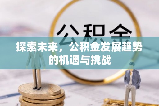 聂拉木探索未来，公积金发展趋势的机遇与挑战