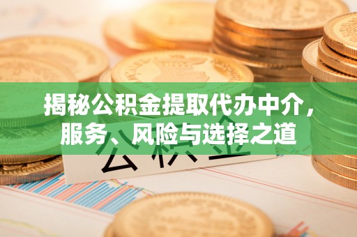 聂拉木揭秘公积金提取代办中介，服务、风险与选择之道