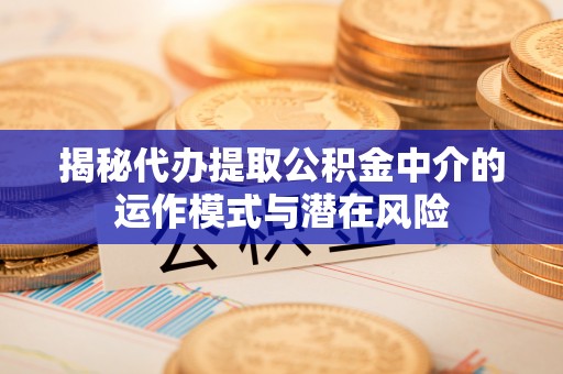 聂拉木揭秘代办提取公积金中介的运作模式与潜在风险