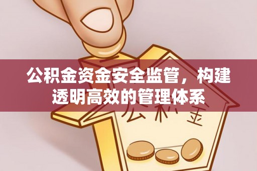 聂拉木公积金资金安全监管，构建透明高效的管理体系