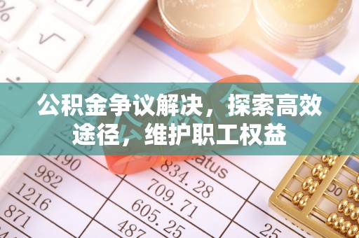 聂拉木公积金争议解决，探索高效途径，维护职工权益