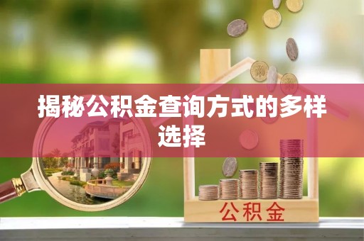 聂拉木揭秘公积金查询方式的多样选择
