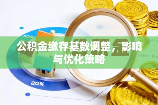 聂拉木公积金缴存基数调整，影响与优化策略