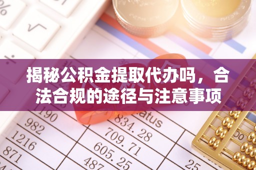 聂拉木揭秘公积金提取代办吗，合法合规的途径与注意事项