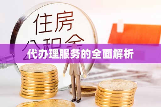 聂拉木代办理服务的全面解析