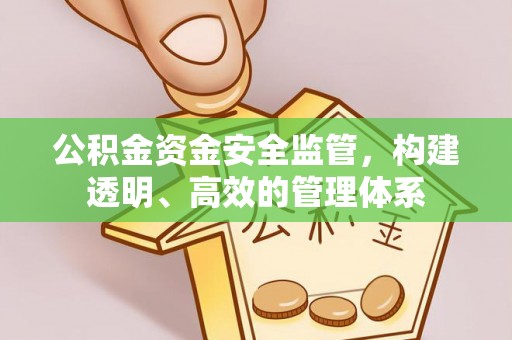 聂拉木公积金资金安全监管，构建透明、高效的管理体系