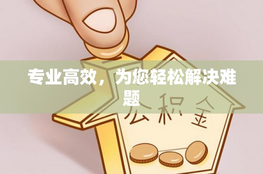 聂拉木专业高效，为您轻松解决难题