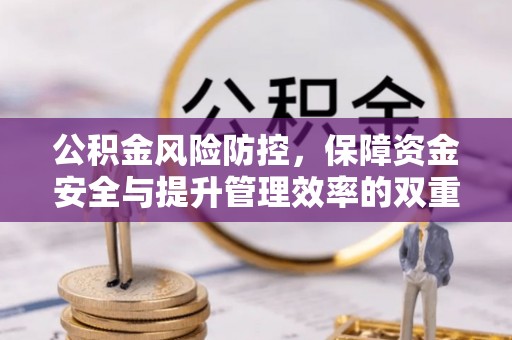 聂拉木公积金风险防控，保障资金安全与提升管理效率的双重探索