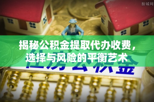 聂拉木揭秘公积金提取代办收费，选择与风险的平衡艺术
