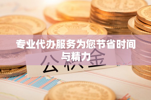 聂拉木专业代办服务为您节省时间与精力