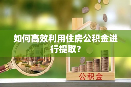 聂拉木如何高效利用住房公积金进行提取？