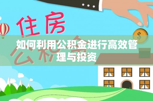 聂拉木如何利用公积金进行高效管理与投资