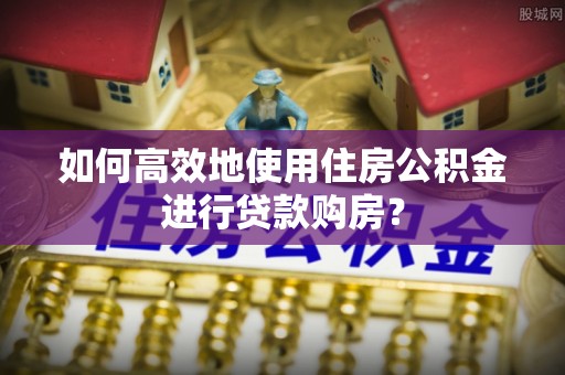 聂拉木如何高效地使用住房公积金进行贷款购房？