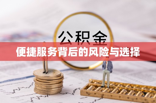 聂拉木便捷服务背后的风险与选择
