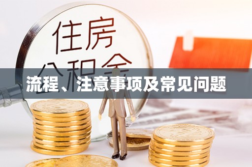 聂拉木流程、注意事项及常见问题