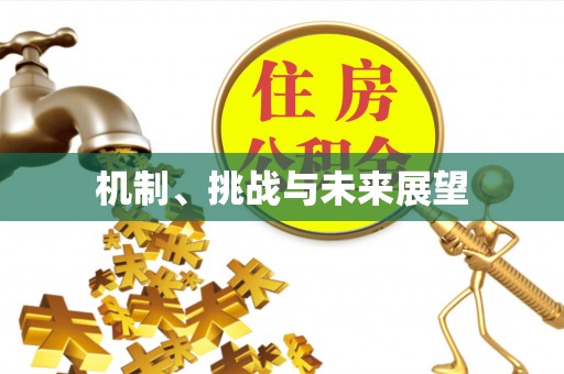 聂拉木机制、挑战与未来展望